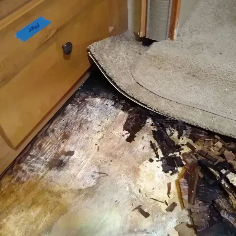 Wood Floor Water Damage in Gail, TX